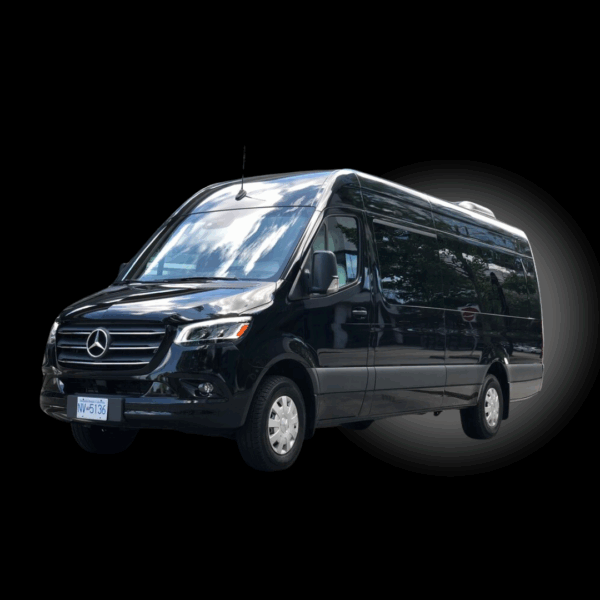 EXECUTIVE SPRINTER LIMO