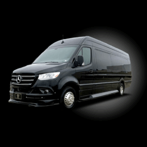 EXECUTIVE  SPRINTER